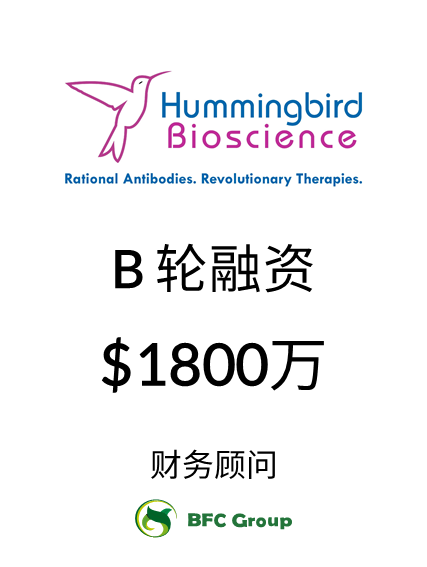 Hummingbird B轮融资