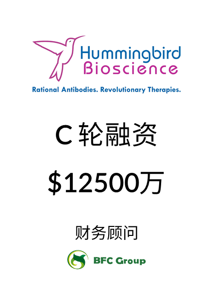 Hummingbird C